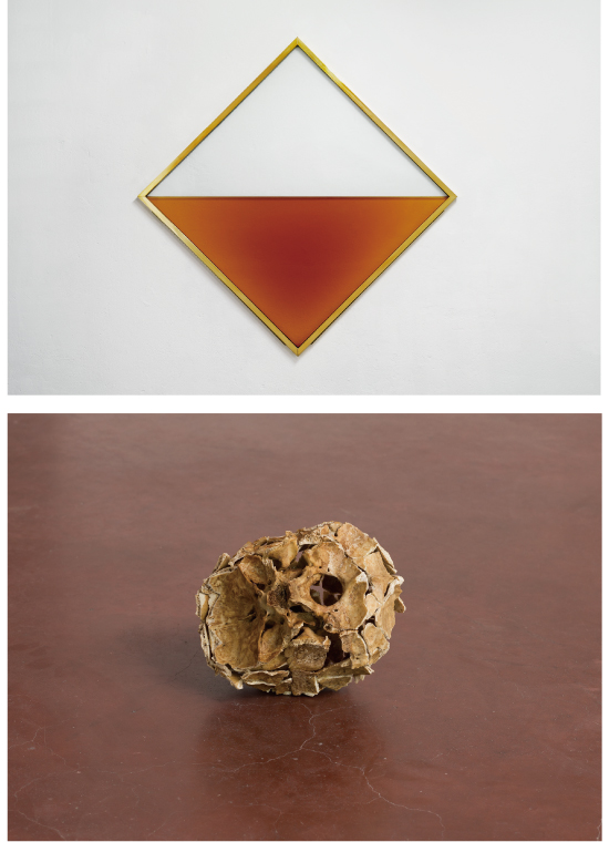Reijiro Wada: "MITTAG" 2015, brandy, tempered glass, brass, stainless steel, CO2, 170 x 170 x 3.5 cm, photo: Enric Duch | Ariel Schlesinger: "Inside Out Skull" 2014, human skull, glue, 15 x 20 x 17 cm, photo: Elad Sarig