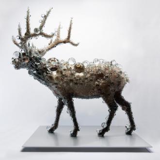 Kohei NAWA