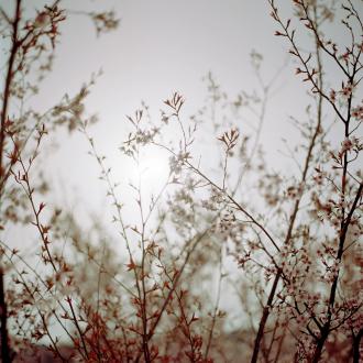 Darren ALMOND