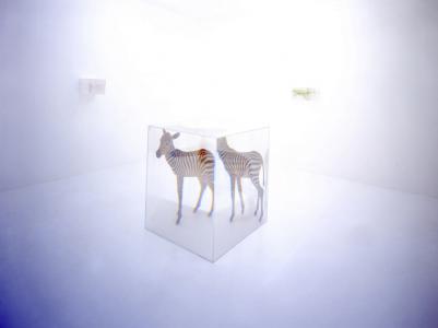 『PixCell[Zebra]』 2003 h.103 x w.90 x d.90 cm photo : Haruo Kaneko