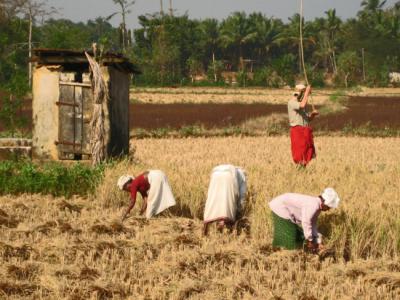 In India, 2008.1, ©ISHI 