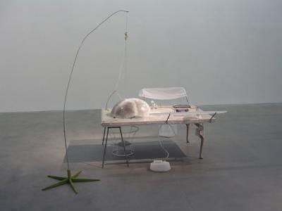 "jelly fish principle", 2004, 195 x 168 x 148cm, mixedmedia 