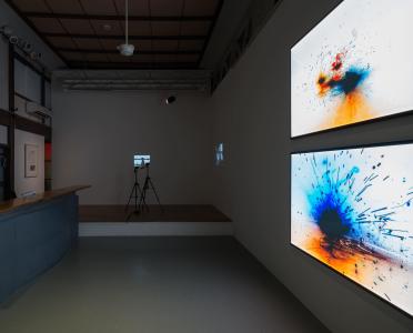 Apichatpong WEERASETHAKUL "FIREWORKS (ARCHIVES)" 2014, SCAI THE BATHHOUSE photo by : Nobutada Omote