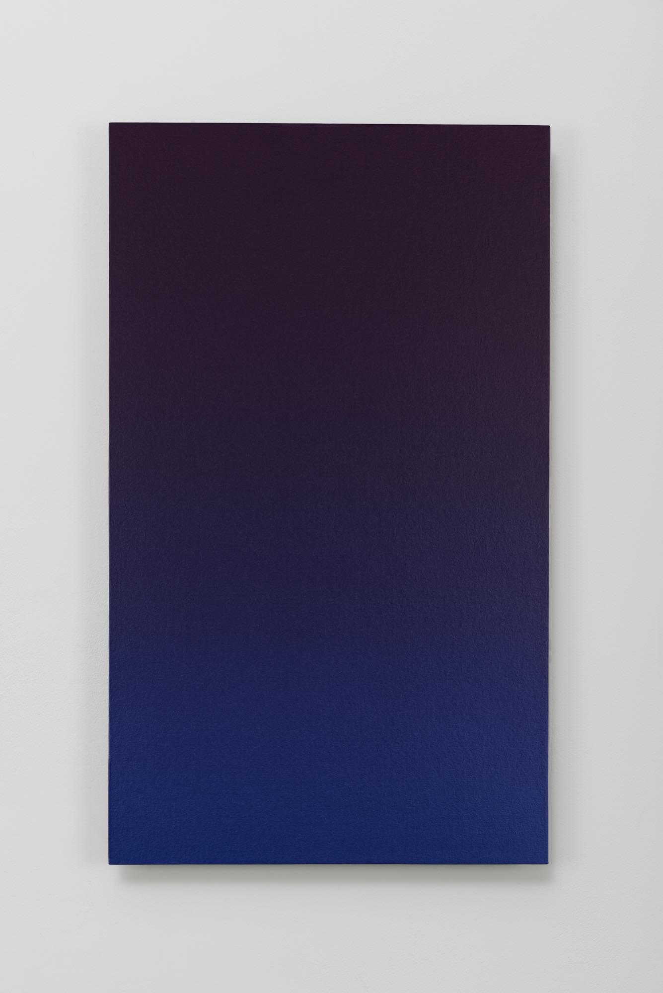pilot, 2015, acrylic on cotton and panel, 92x 54.5 cm
