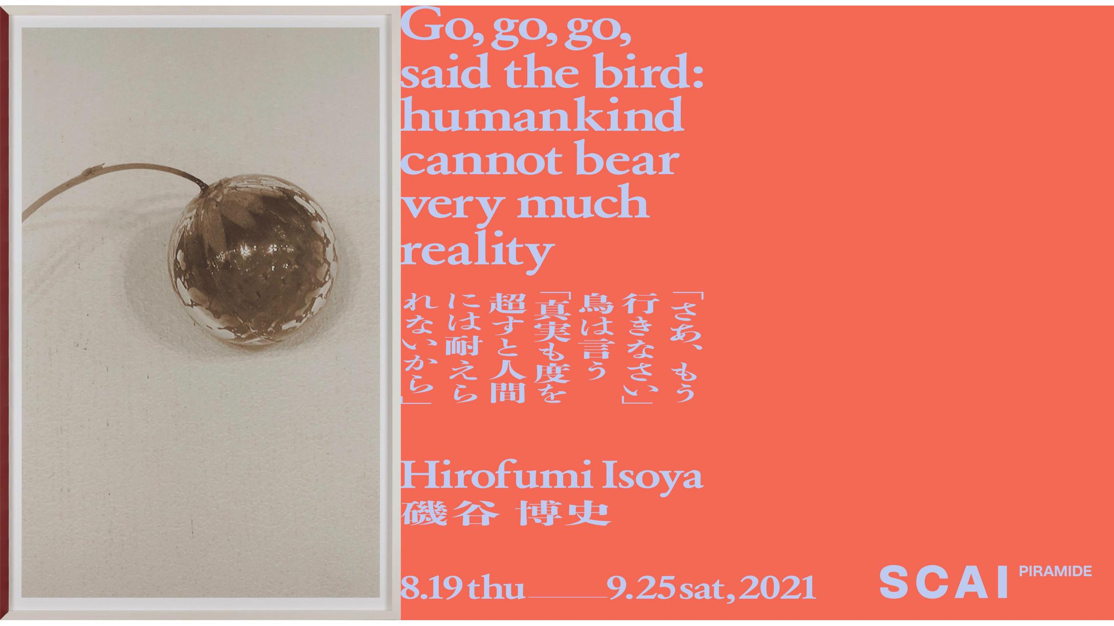 Scai The Bathhouse Exhibitions Scai Piramide 次回の企画展 磯谷博史 さあ もう行きなさい 鳥は言う 真実も度を越すと人間には耐えられないから Scai The Bathhouse Exhibitions Scai Piramide 次回の企画展 磯谷博史 さあ もう行きなさい 鳥は言う 真実も度を越すと人間には耐えられないから