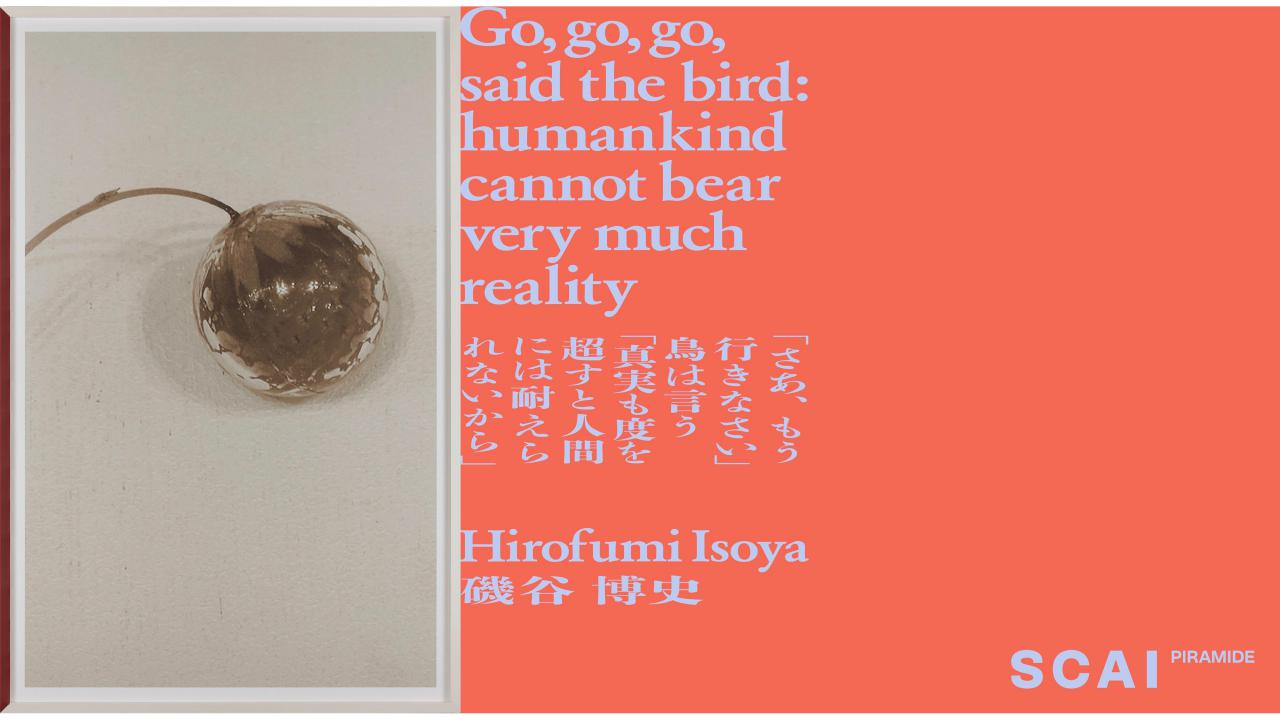 Scai The Bathhouse Exhibitions Scai Piramide Upcoming Hirofumi Isoya Go Go Go Said The Bird Humankind Cannot Bear Very Much Reality
