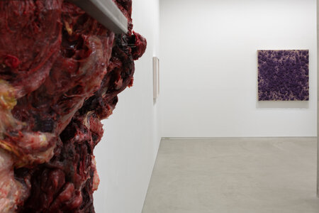 #32 Anish Kapoor, Bosco Sodi, 2022, SCAI PARK, photo by Nobutada Omote