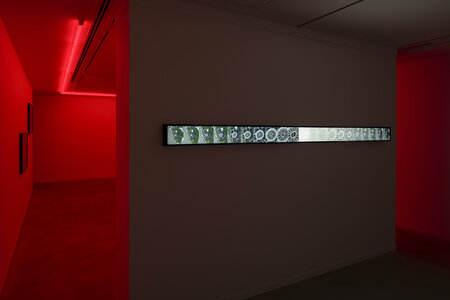 Alfredo Jaar"THE END³", 2023, SCAI PIRAMIDE, photo by Nobutada Omote