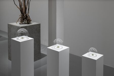 名和 晃平「Sentient」2025年、 SCAI THE BATHHOUSE、撮影: 表恒匡