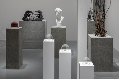 名和 晃平「Sentient」2025年、 SCAI THE BATHHOUSE、撮影: 表恒匡
