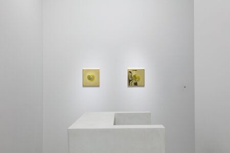 #43 ダレン・アーモンド、プラチャヤ・ピントン、和田礼治郎、2025、SCAI PARK、撮影: 宮島径