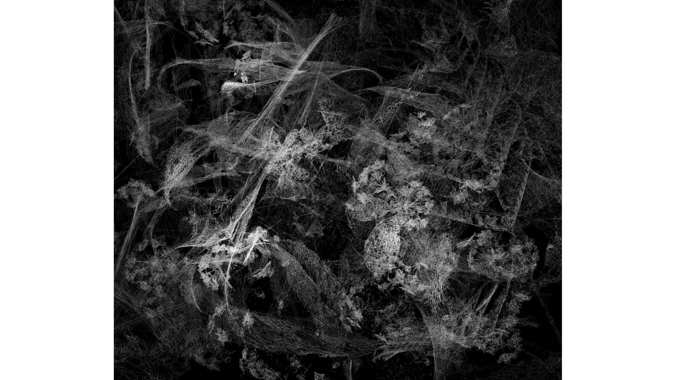 Moon Kyungwon & Jeon Joonho, Phantom Garden, 2024-2025, still image, variable dimension ©Moon Kyungwon & Jeon Joonho