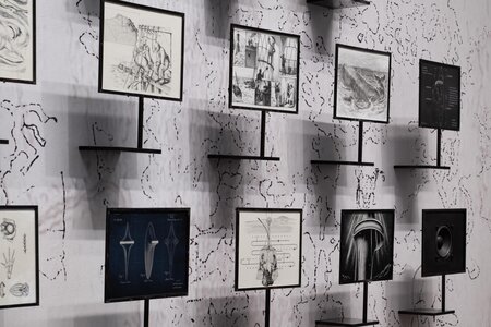 Moon Kyungwon & Jeon Joonho "News from Nowhere : Laboratory of Spring and Autumn Collection" 2025, SCAI THE BATH HOUSE, photo by Nobutada Omote