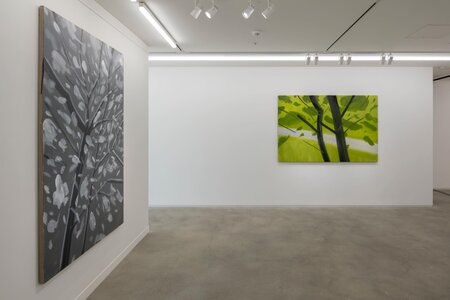 アレックス・カッツ「Four Seasons」2025年、 SCAI PIRAMIDE、撮影: 表恒匡