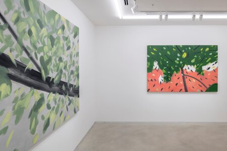 アレックス・カッツ「Four Seasons」2025年、 SCAI PIRAMIDE、撮影: 表恒匡