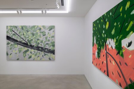 アレックス・カッツ「Four Seasons」2025年、 SCAI PIRAMIDE、撮影: 表恒匡