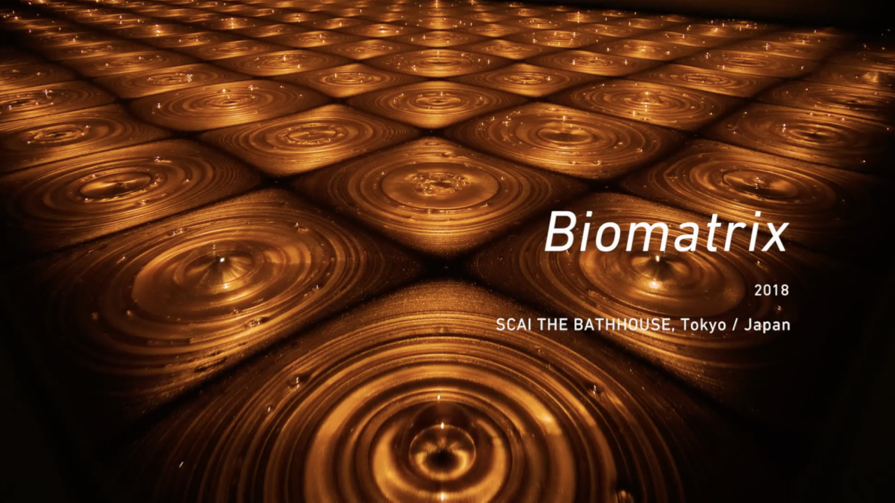 SCAI THE BATHHOUSE | Videos | Installation view名和晃平Biomatrix