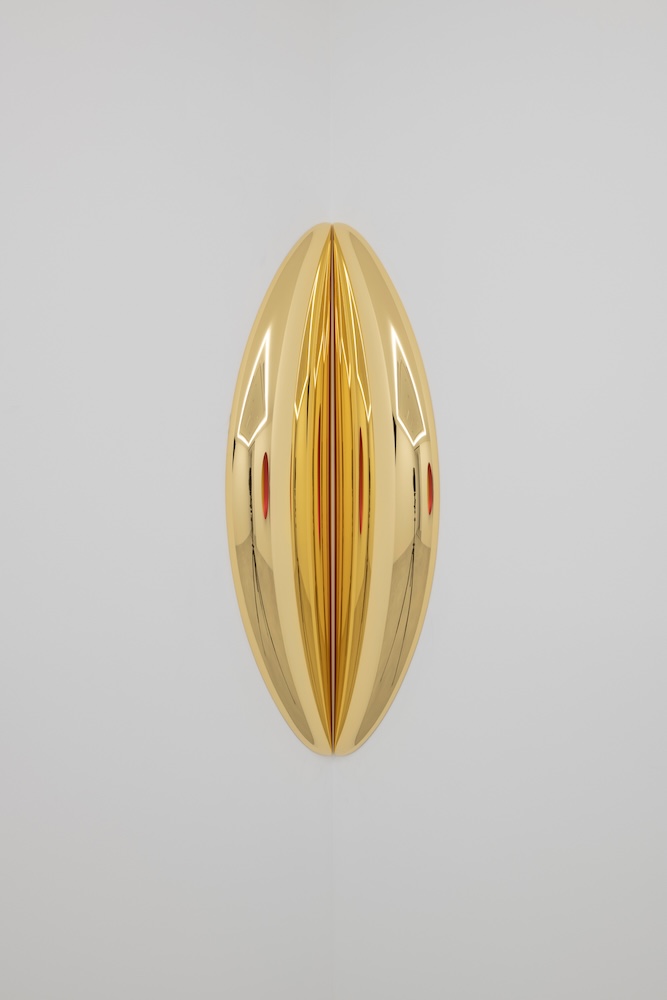 Anish Kapoor, In-between, 2015
Fiberglass, gold
80 × 20 × 7 cm
ed. 6/6 + 2AP